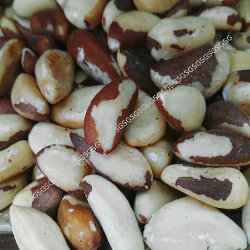 premium nuts