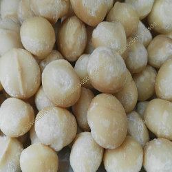 premium nuts