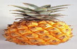 Pineapple Juice