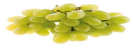 Grape Juice
