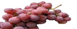 Grape Juice